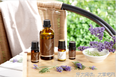 《25岁，我赚了3个亿》句子