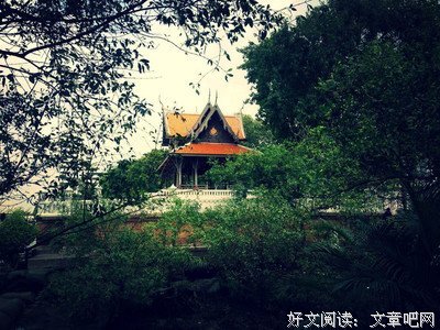 《暴走曼谷》观后感精选