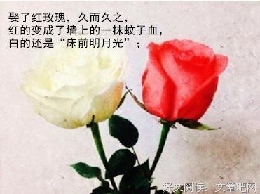 等待那个男人读后感精选