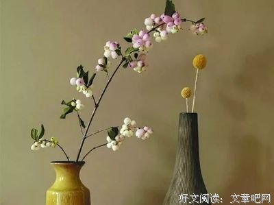 假如悲伤会说话读后感100字