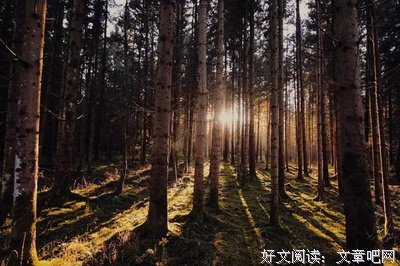 关于饱经风霜的语句