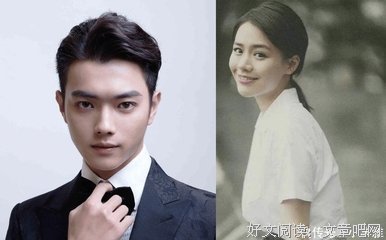 延禧攻略经典读后感有感