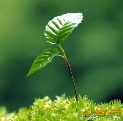 关于趾高气扬的格言