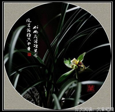 其是自在有经典的句子