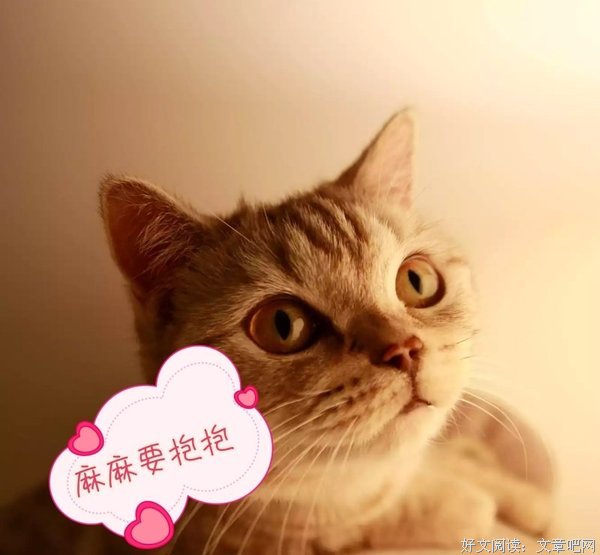 《《伸出手，抱一抱还在努力的自己》》的句子