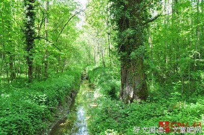 醉卧沙场君莫笑，古来征战几人回。好词好句
