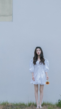 最后的仙女读后感100字