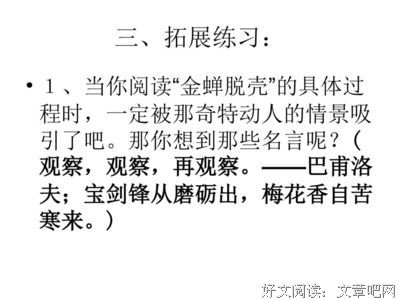 当你老去读后感摘抄