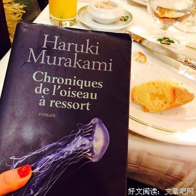 《奇鸟行状录》经典读后感有感