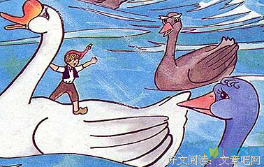 《1962-1991 私人文学史》的读后感大全