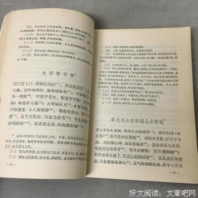 《杜甫诗选注（增补本）》经典读后感有感