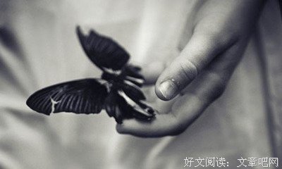 《你来人间一趟，你要发光发亮》读后感1000字
