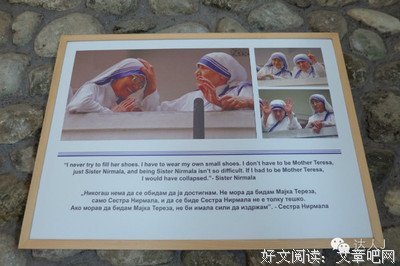 《杜鲁与妮尔》的读后感大全