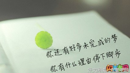 关于前途无量的名句摘抄