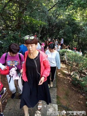 《雾路奇途》好看吗？经典观后感锦集
