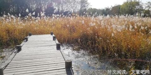 《丘山》观后感100字