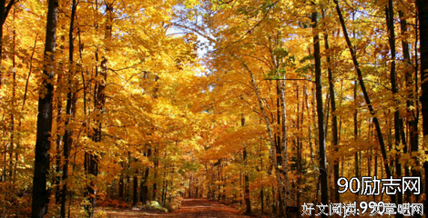 小情景风景句子