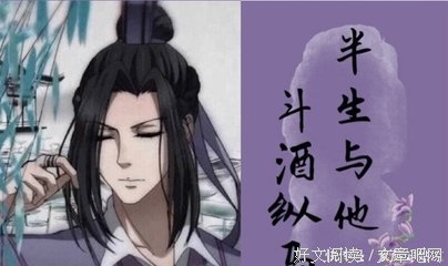魔道祖那对 忘羡的优美句子