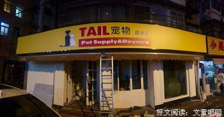 《引文》的句子