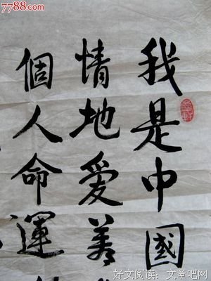 关于文学集的优美句子
