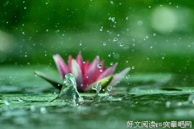 有关向样之气们是矫情名人名言