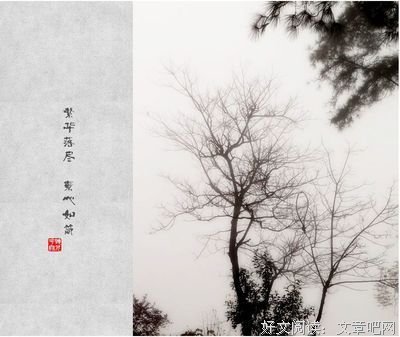 最经典的《繁华落尽，素心不改》语录摘抄