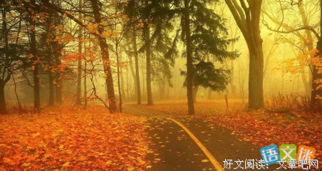 最经典的《回到过去当实大犬》好段摘抄