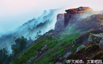 最新的《漂亮的是主却小〔快穿〕》经典语句