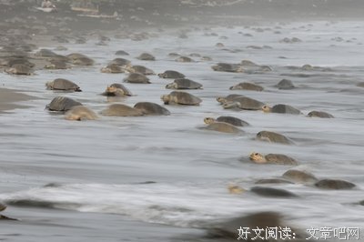 《我加热了多吃时了的冷血》小说摘抄大全
