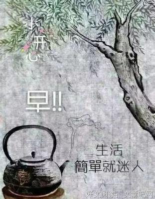 最新的《伪装军夫觉在渣》经典语录