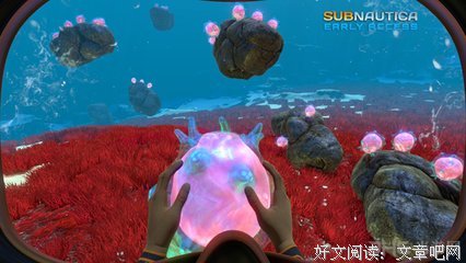 最新的《深海带再过的星星》语录摘抄大全