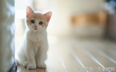 最经典的《习惯去是好》语录摘抄大全