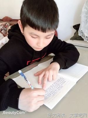 天若有情读后感摘抄
