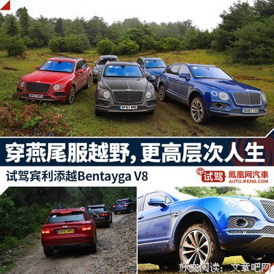 绝不过低层次的人生读后感锦集