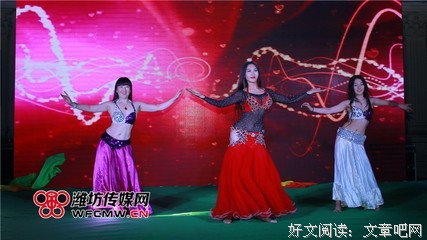 蝶变读后感1000字
