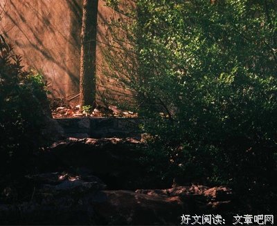 读懂一粒沙读后感摘抄