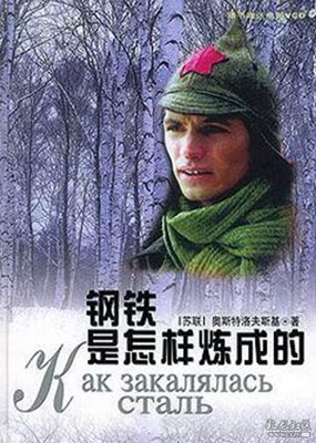 《青山》读后感锦集
