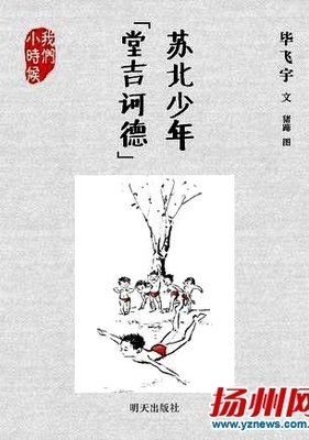 苏北少年堂吉诃德(我们小时候)读后感1000字
