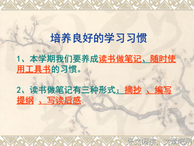 《万物生长》读后感摘抄