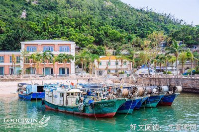 《感谢那个爱上孤独的自己》经典读后感有感