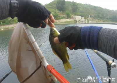 关于大物前慢的句子