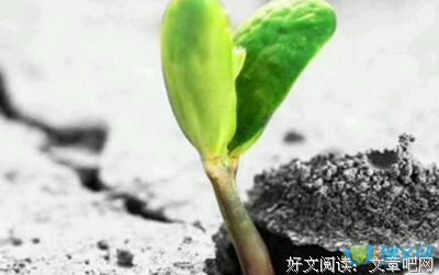 关于我把心也的句子