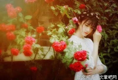 关于容易莫摧残的句子