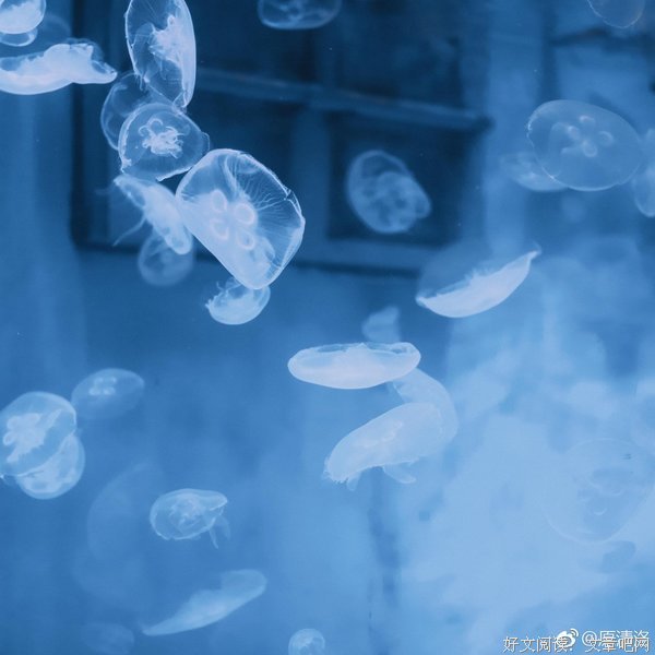 深海里的星星经典的句子