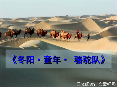 关于我喜欢的句子