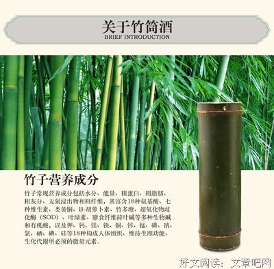 最经典的《404 查无此城》小说句子大全