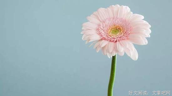 淡泊一世，坦荡一生