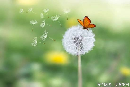 这五种人，命最好，福最大 