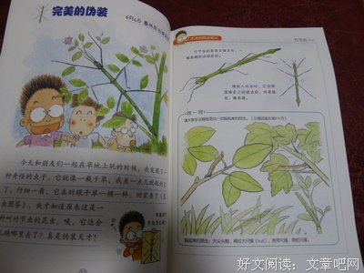 直立行走读后感精选