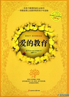 再笨也要学着去爱读后感100字